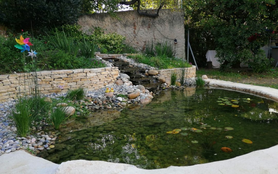 Bassin naturel à Montpellier