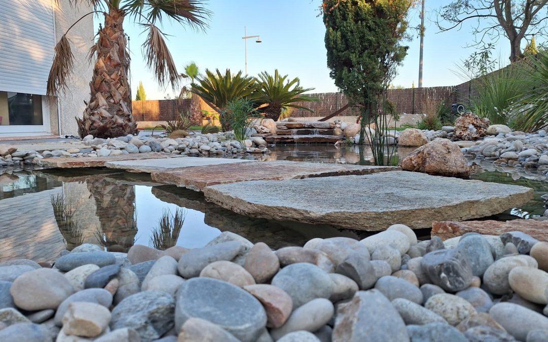 Coin aquatique et cascade à Juvignac